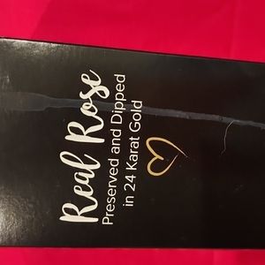 Steven Singer Real Pink Rose Preserved and Dipped in 24 Karat Gold